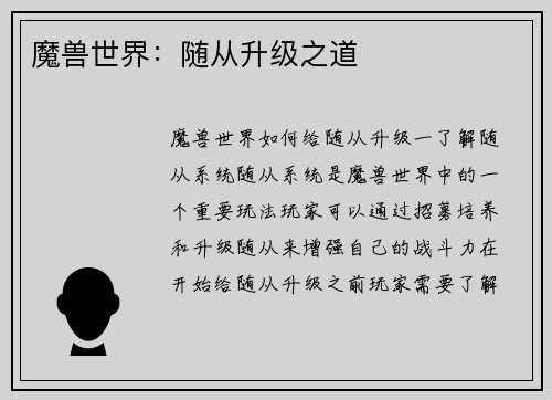 魔兽世界：随从升级之道