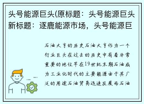 头号能源巨头(原标题：头号能源巨头新标题：逐鹿能源市场，头号能源巨头背后的人和故事)